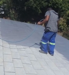 roof painting